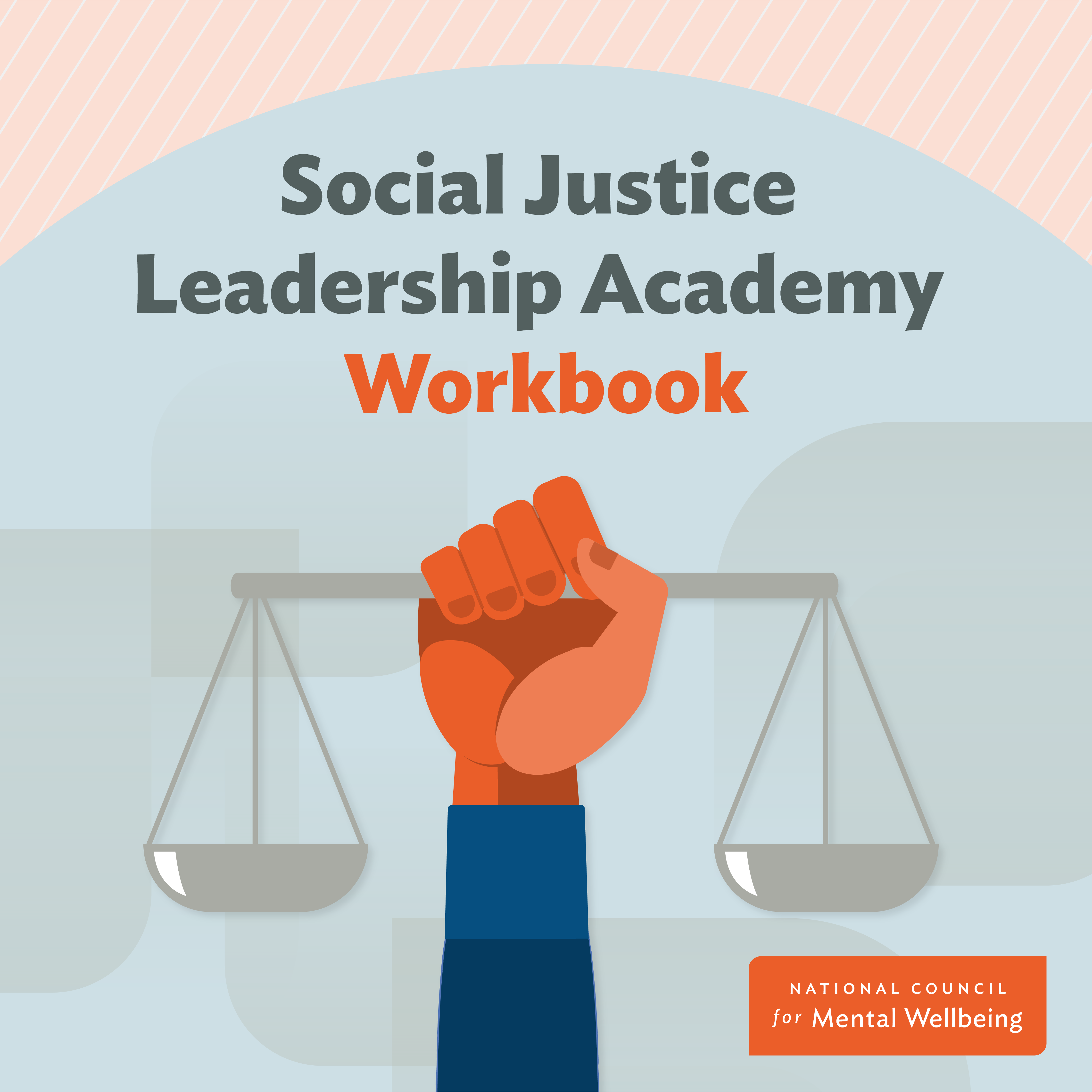 Social Justice Leadership Academy Workbook